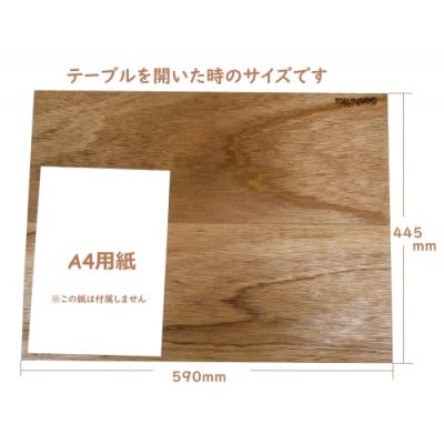 折たたみテーブルN220脚短
