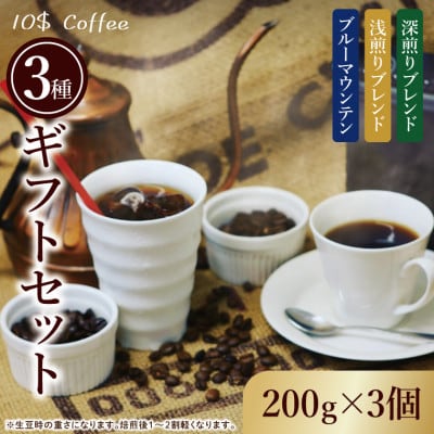 【豆】ブルーマウンテン・浅煎り・深煎り  コーヒーギフトセット　焙煎(DD009)