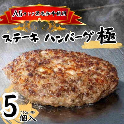黒毛和牛A5ランクステーキハンバーグ極　120g×5食