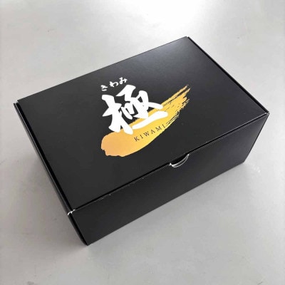 黒毛和牛A5ランクステーキハンバーグ極　120g×5食