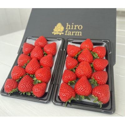 あまりん280g×2パック　2026年1月より順次発送