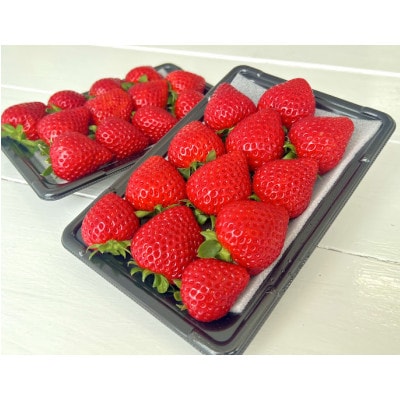 あまりん280g×2パック　2026年1月より順次発送