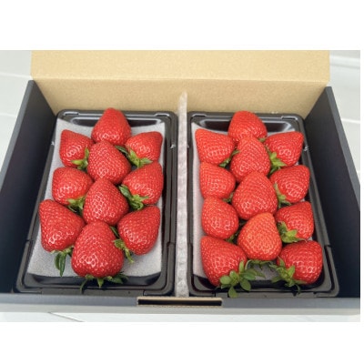 おまかせ食べ比べ280g×2パック　2026年1月より順次発送