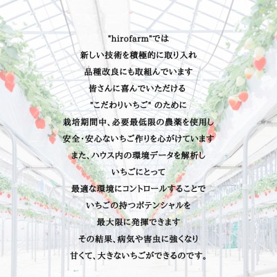 いちご狩りご案内状　大人2名