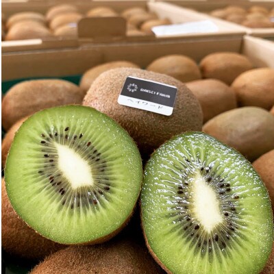 【ヘイワード 約3.6kg】贈答用大箱　大晴農園のキウイフルーツ