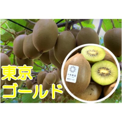 『11月限定』東京ゴールドと香緑の2種詰め合わせ27玉入り【春日部市】大晴農園のキウイフルーツ