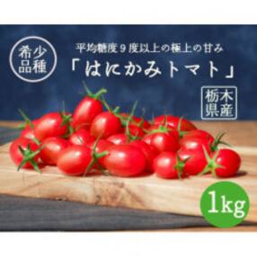 【はにかみトマト 1kg】高糖度!希少品種フルーツトマト | ミニトマト