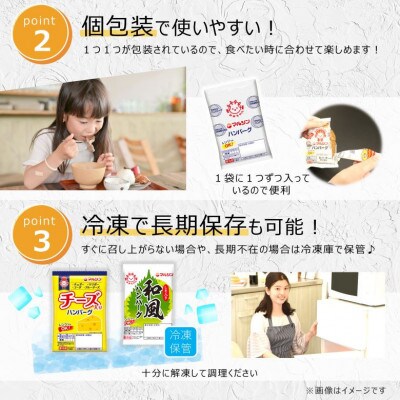 ハンバーグ4種類 食べ比べセット ( 4種 各9個 )