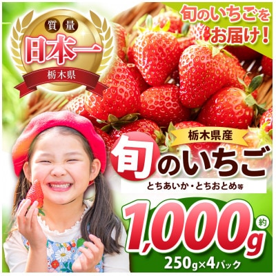 栃木県産　旬のいちご(とちあいか・とちおとめ等)　約1kg