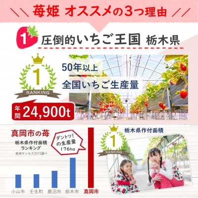 栃木県産　旬のいちご(とちあいか・とちおとめ等)　約1kg