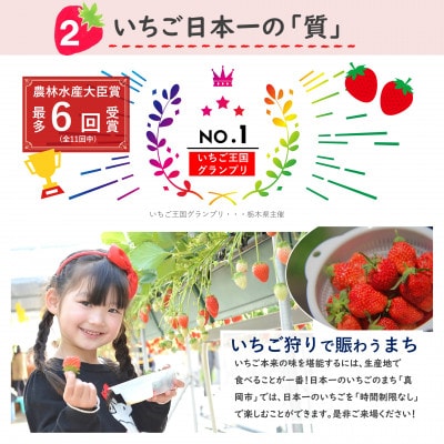 栃木県産　旬のいちご(とちあいか・とちおとめ等)　約1kg