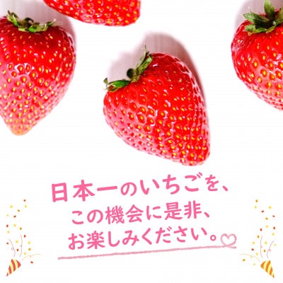 栃木県産　旬のいちご(とちあいか・とちおとめ等)　約1kg