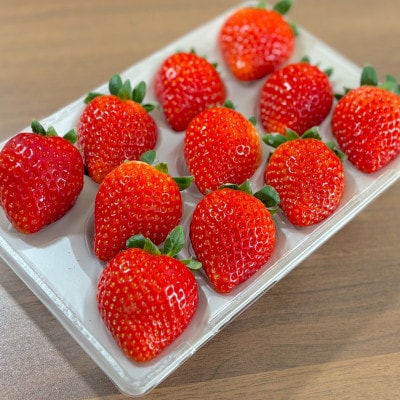 朝採れのいちご とちあいか 250g×4パック 計1000g