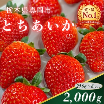 朝採れのいちご とちあいか 250g×8パック 計2000g