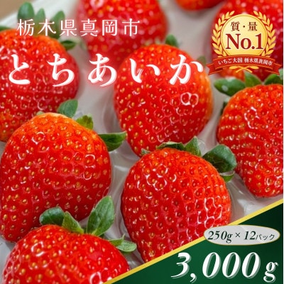 朝採れのいちご とちあいか 250g×12パック 計3000g