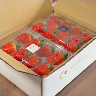 朝採れのいちご とちあいか 250g×12パック 計3000g