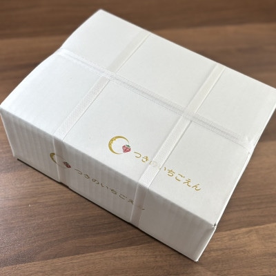 朝採れのいちご とちあいか 250g×12パック 計3000g