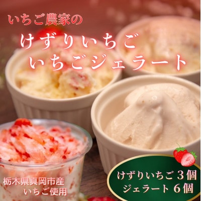 いちご農家の【けずりいちごといちごジェラート】ジェラート3種×2個(計6個)+けずりいちご3個