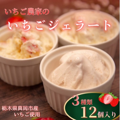いちご農家の『いちごジェラート』3種×4個 (計12個)