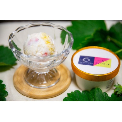 いちご農家の『いちごジェラート』3種×4個 (計12個)