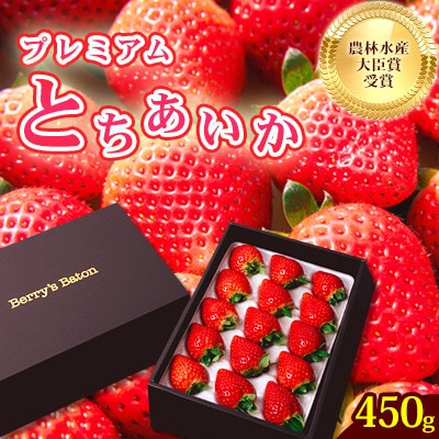 とちあいか贈答用 黒箱約450g 12粒～15粒 ギフトBOX 日本一いちご王国栃木の首都真岡市