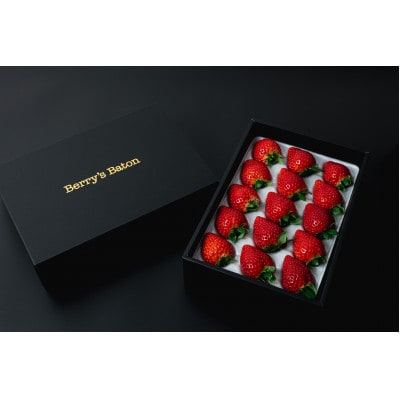 とちあいか贈答用 黒箱約450g 12粒～15粒 ギフトBOX 日本一いちご王国栃木の首都真岡市