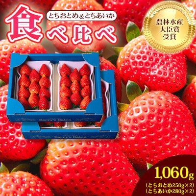 とちおとめ・とちあいか 約1060g 食べ比べ セット いちご日本一のまち 栃木県真岡市