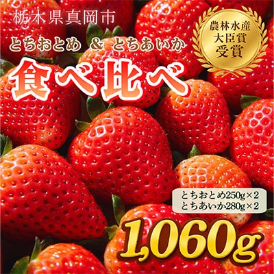 とちおとめ・とちあいか 約1060g 食べ比べ セット いちご日本一のまち 栃木県真岡市
