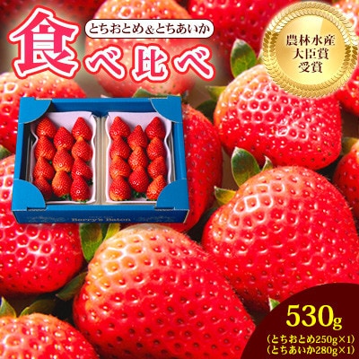 とちおとめ・とちあいか 約530g 食べ比べ セット いちご日本一のまち 栃木県真岡市