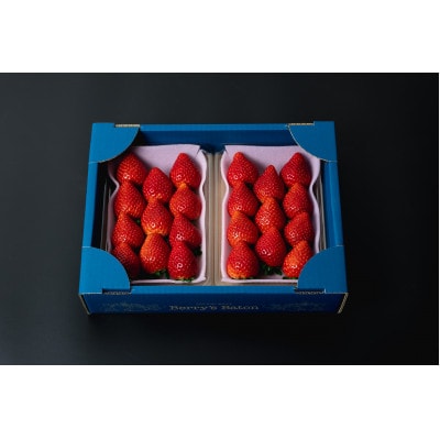 とちおとめ・とちあいか 約530g 食べ比べ セット いちご日本一のまち 栃木県真岡市