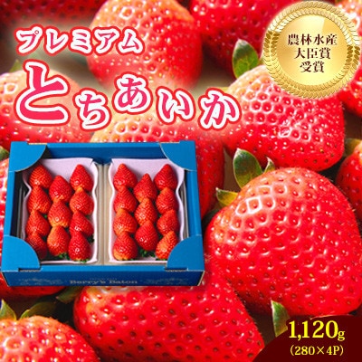 とちあいか約1,120g 日本一いちご王国栃木の首都真岡市