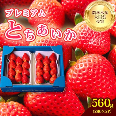 とちあいか約560g 日本一いちご王国栃木の首都真岡市