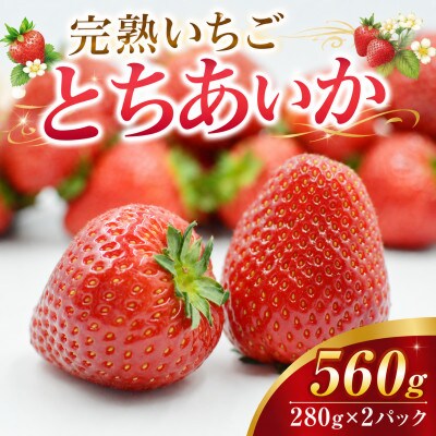 【先行受付】完熟いちご「とちあいか」約560g(280g×2パック)1月配送