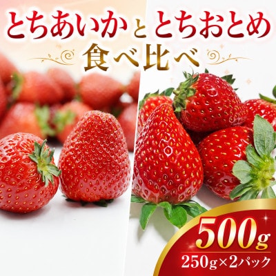 【先行受付】とちおとめ・とちあいか  食べ比べセット 500g(250g×2パック)1月より順次配送