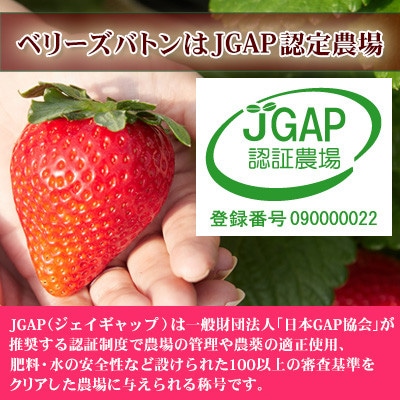 【先行受付】とちおとめ・とちあいか  食べ比べセット 500g(250g×2パック)1月より順次配送