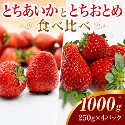 【先行受付】とちおとめ・とちあいか 食べ比べセット 1000g(250g×4パック 各2パック)