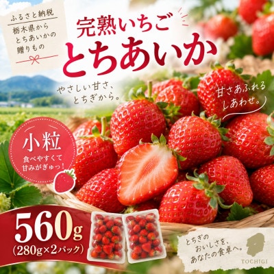 【先行受付】完熟いちご「とちあいか」《小粒》 約560g (280g×2パック) 1月より配送