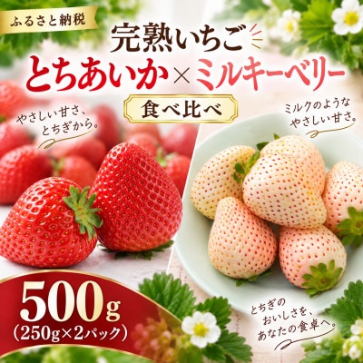【先行受付】とちあいか ミルキーベリー  食べ比べ 500g(250g×2パック)1月より配送