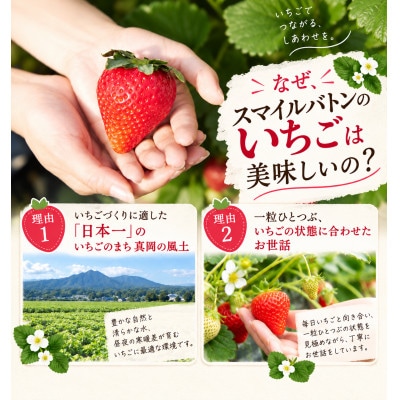 【先行受付】とちあいか とちひめ  食べ比べ  500g(250g×2パック)1月より配送