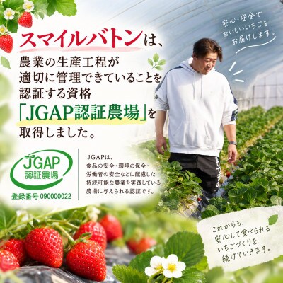 【先行受付】とちあいか とちひめ  食べ比べ  500g(250g×2パック)1月より配送