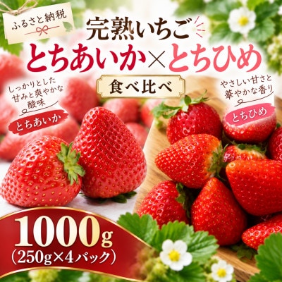 【先行受付】とちあいか・とちひめ 食べ比べ 1000g(250g×4パック 各2パック)1月より配送