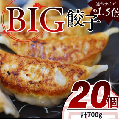 たじまやオリジナルビッグ餃子　35g×20個　