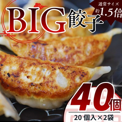 たじまやオリジナルビッグ餃子　35g×40個(20個入×2袋)小分け