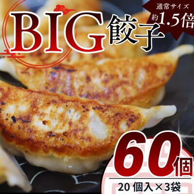 たじまやオリジナルビッグ餃子　35g×60個(20個入×3袋)小分け