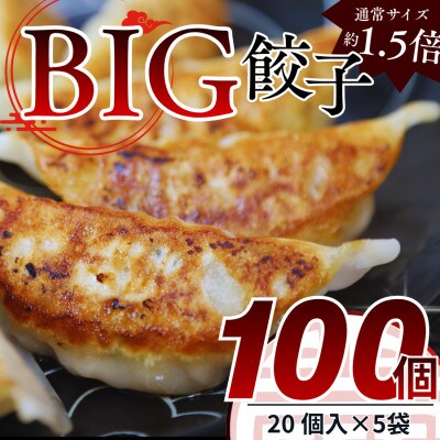 たじまやオリジナルビッグ餃子　35g×100個(20個入×5袋)小分け