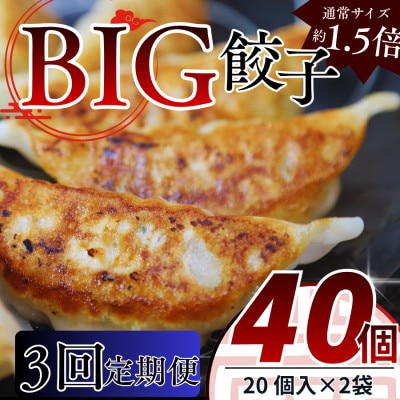 【毎月定期便】たじまやオリジナルビッグ餃子　40個(20個入り×2袋)小分け　全3回