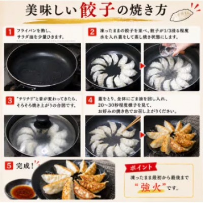 【毎月定期便】たじまやオリジナルビッグ餃子　60個(20個入り×3袋)小分け　全3回