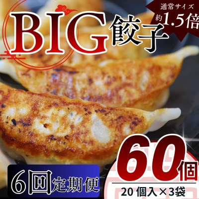 【毎月定期便】たじまやオリジナルビッグ餃子　60個(20個入×3袋)小分け　全6回