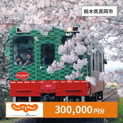 【じゃらんふるさと納税クーポン】 栃木県真岡市でつかえる300,000円 クーポン