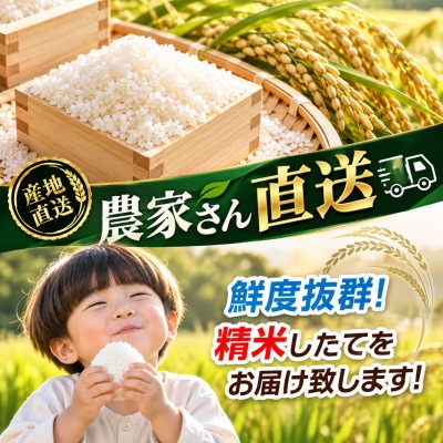【令和8年産】栃木の豊かな自然で育んだふっくらあま～いこしひかり 約5kg(精米)　